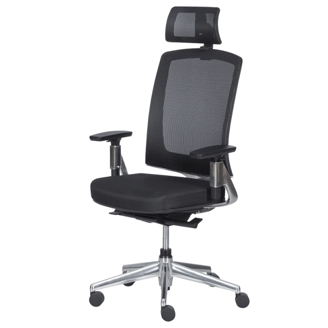 Ergonomic chair ALBI - black