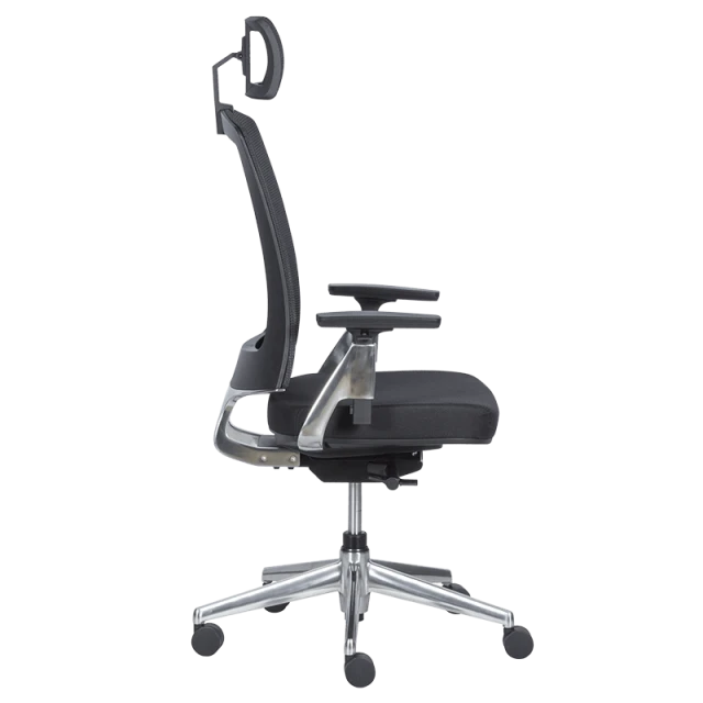 Ergonomic chair ALBI - black