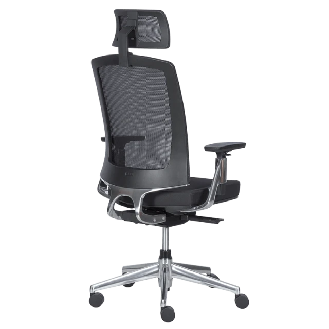 Ergonomic chair ALBI - black