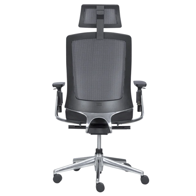Ergonomic chair ALBI - black