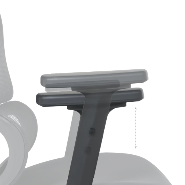 Ergonomic chair Carmen 7589 - black
