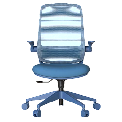 Ergonomic chair ASTARA - blue