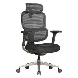 Ergonomic chair TARTAR - black