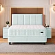 Upholstered bedroom with mattress ROYCE 160 x 200 - light green 03