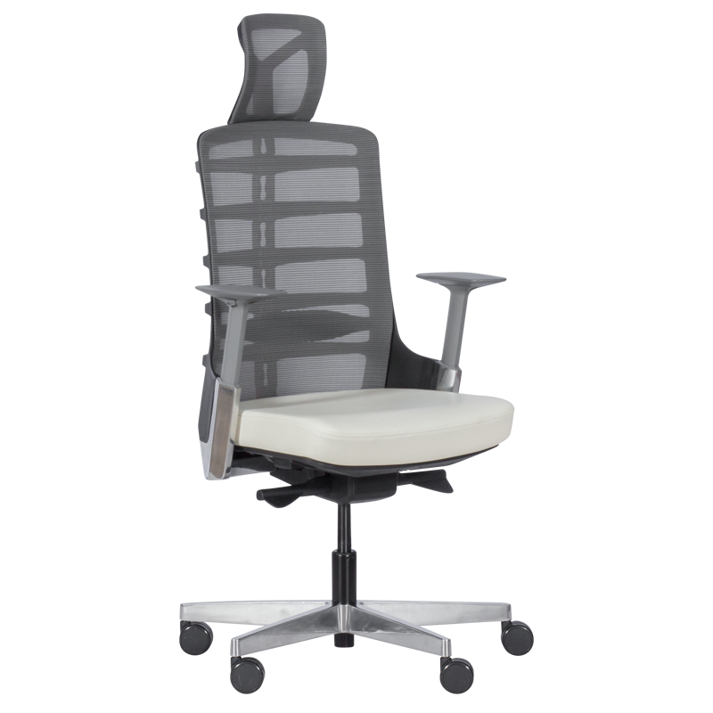 Ergonomic chair ALBERTO - white
