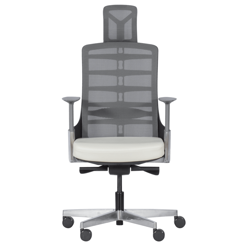 Ergonomic chair ALBERTO - white