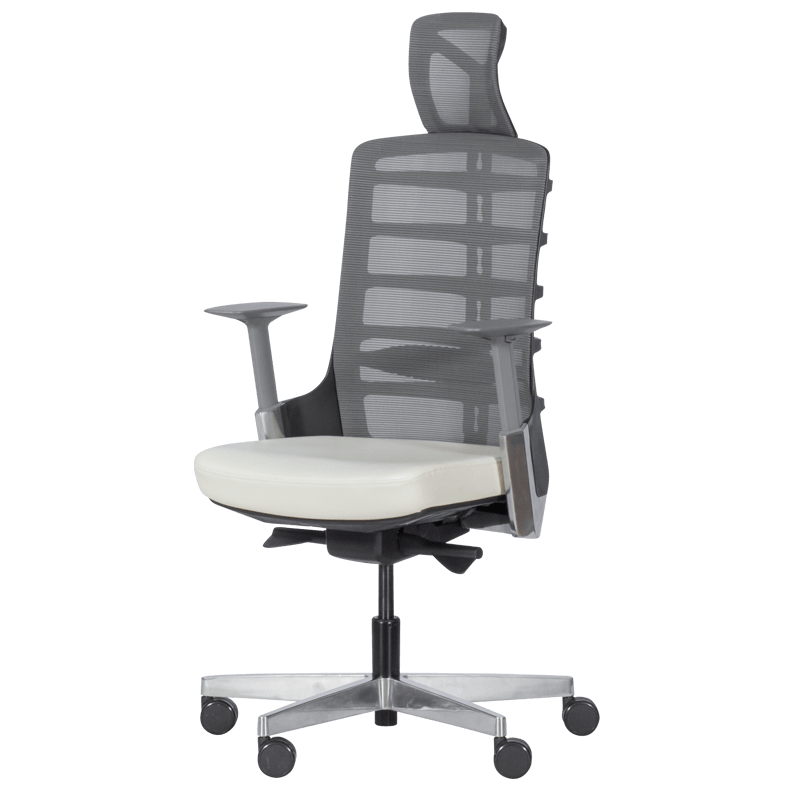 Ergonomic chair ALBERTO - white