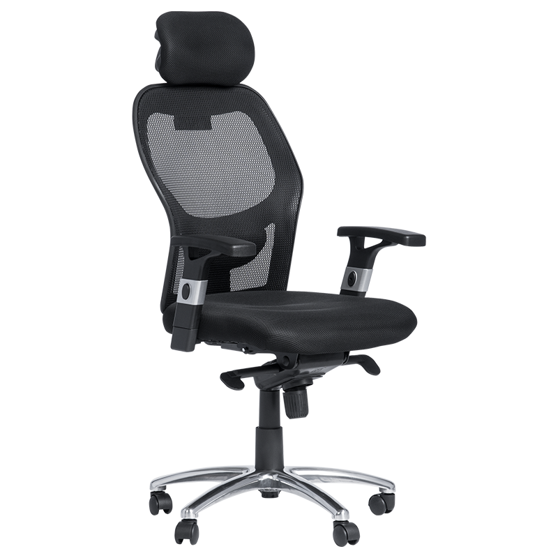 Ergonomic chair Carmen 7520 - black