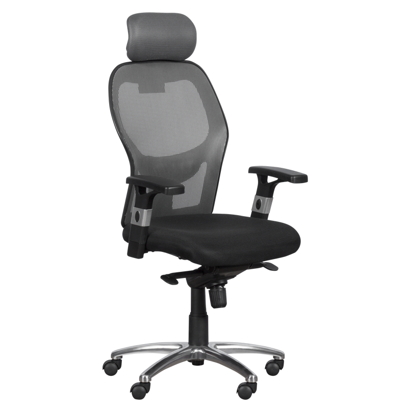 Ergonomic chair Carmen 7520 - black - gray