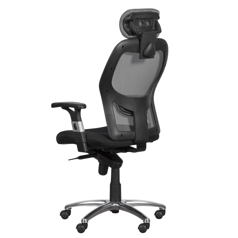 Ergonomic chair Carmen 7520 - black - gray