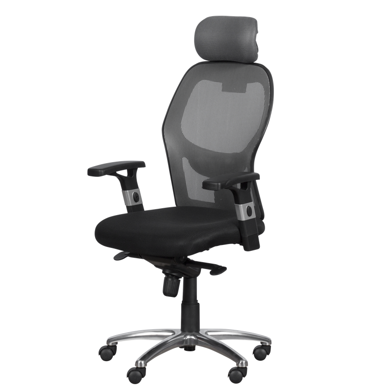Ergonomic chair Carmen 7520 - black - gray