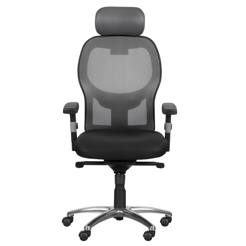 Ergonomic chair Carmen 7520 - black - gray