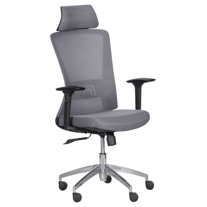 Ergonomic chair Carmen 7542 - gray