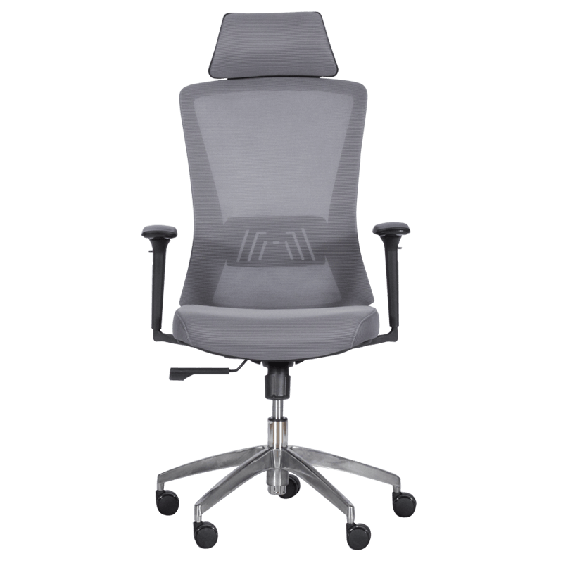 Ergonomic chair Carmen 7542 - gray