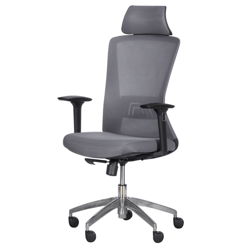 Ergonomic chair Carmen 7542 - gray