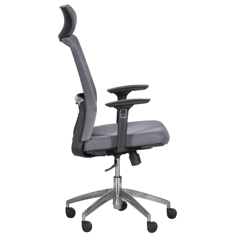 Ergonomic chair Carmen 7542 - gray