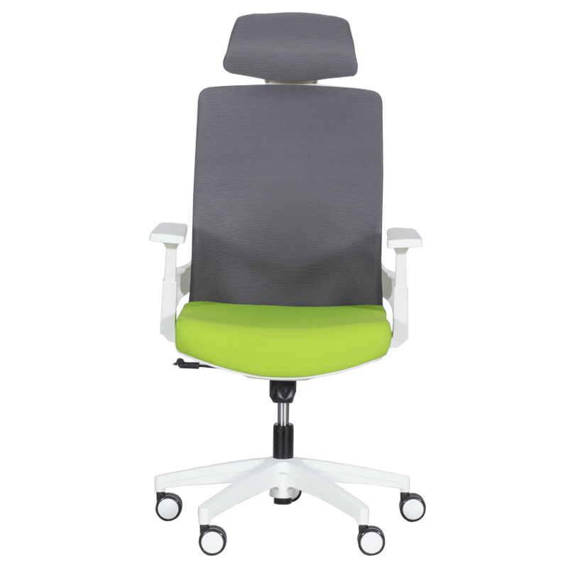 Presidential office chair Carmen 7546 - green-gray