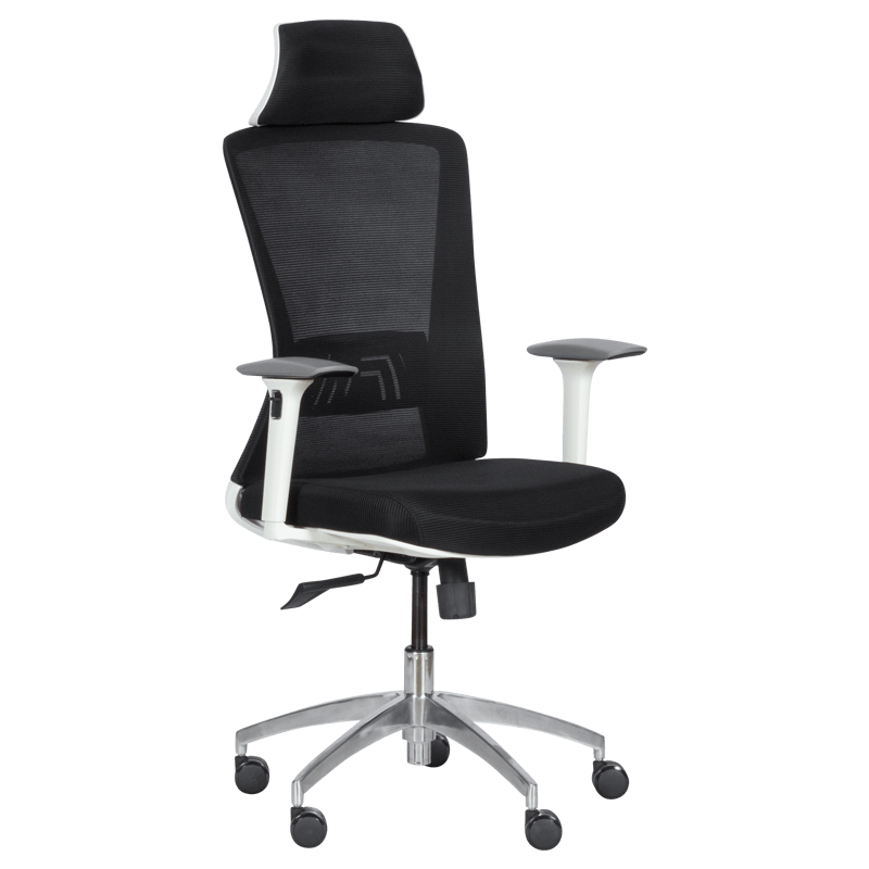 Ergonomic chair Carmen 7542 W - black