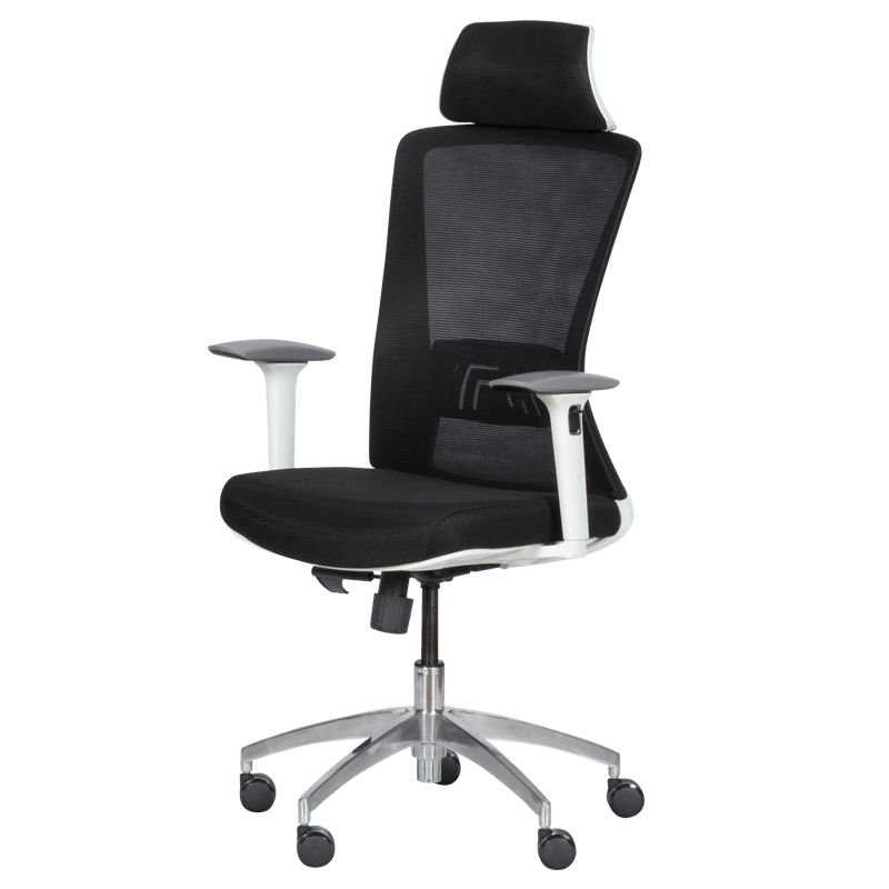 Ergonomic chair Carmen 7542 W - black