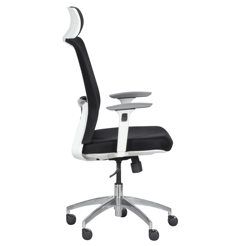 Ergonomic chair Carmen 7542 W - black