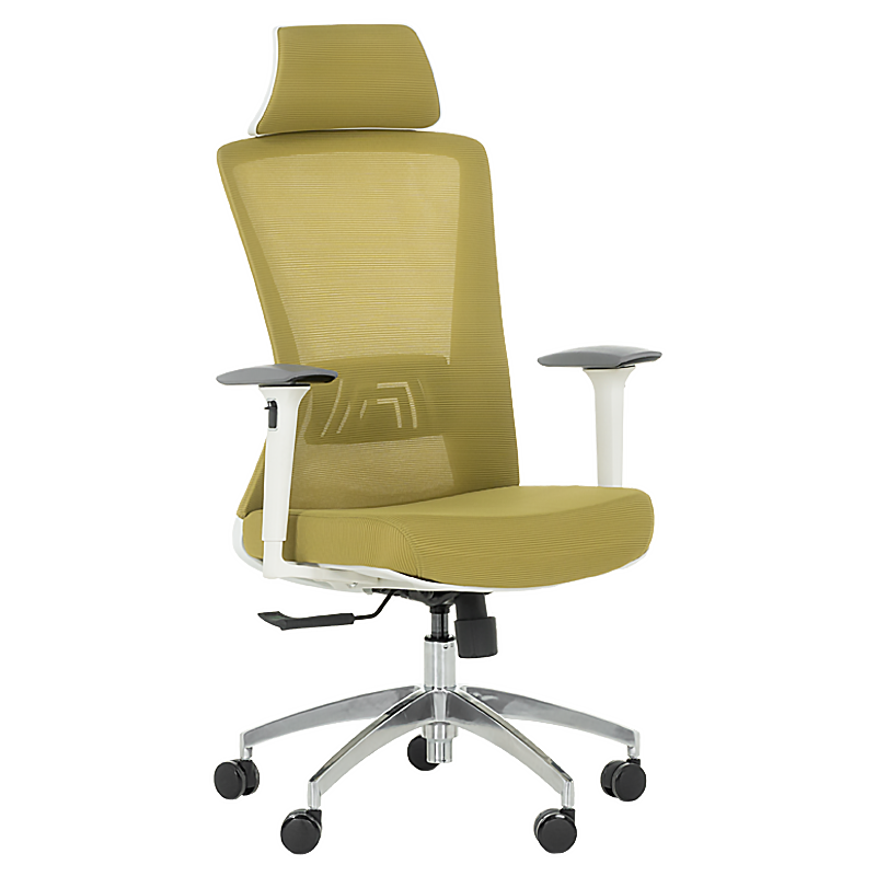 Ergonomic chair Carmen 7542 W - reseda