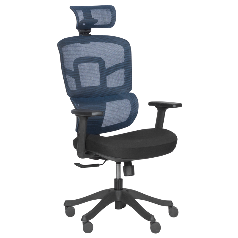 Ergonomic chair Carmen 7582 - blue-black