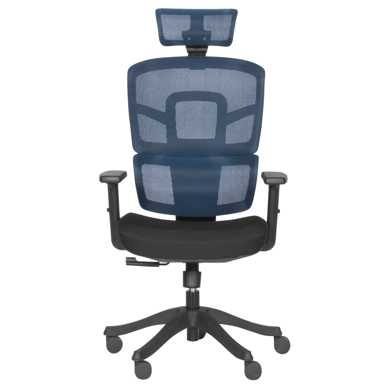 Ergonomic chair Carmen 7582 - blue-black