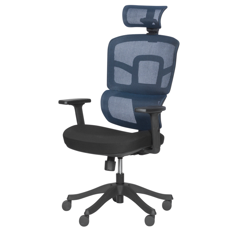 Ergonomic chair Carmen 7582 - blue-black
