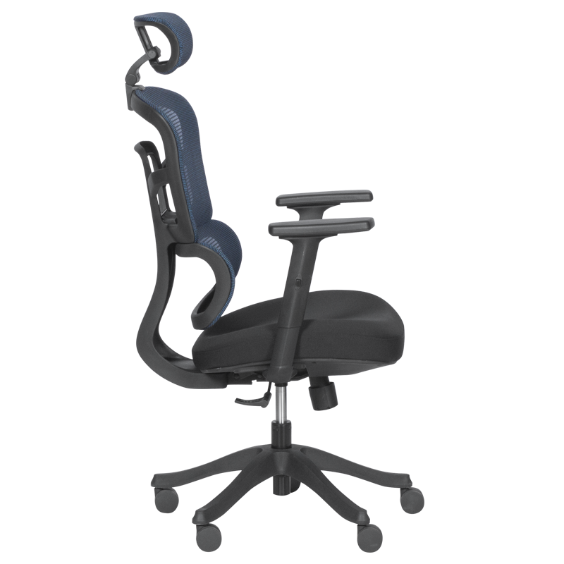 Ergonomic chair Carmen 7582 - blue-black