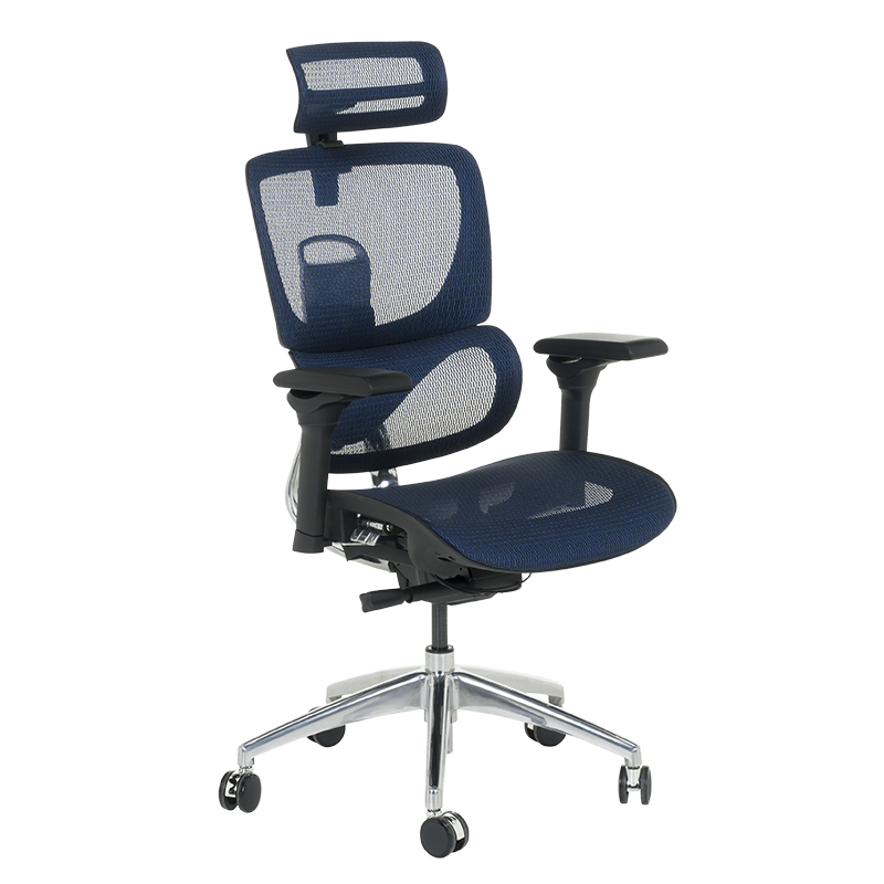 Ergonomic chair CALGARY - blue