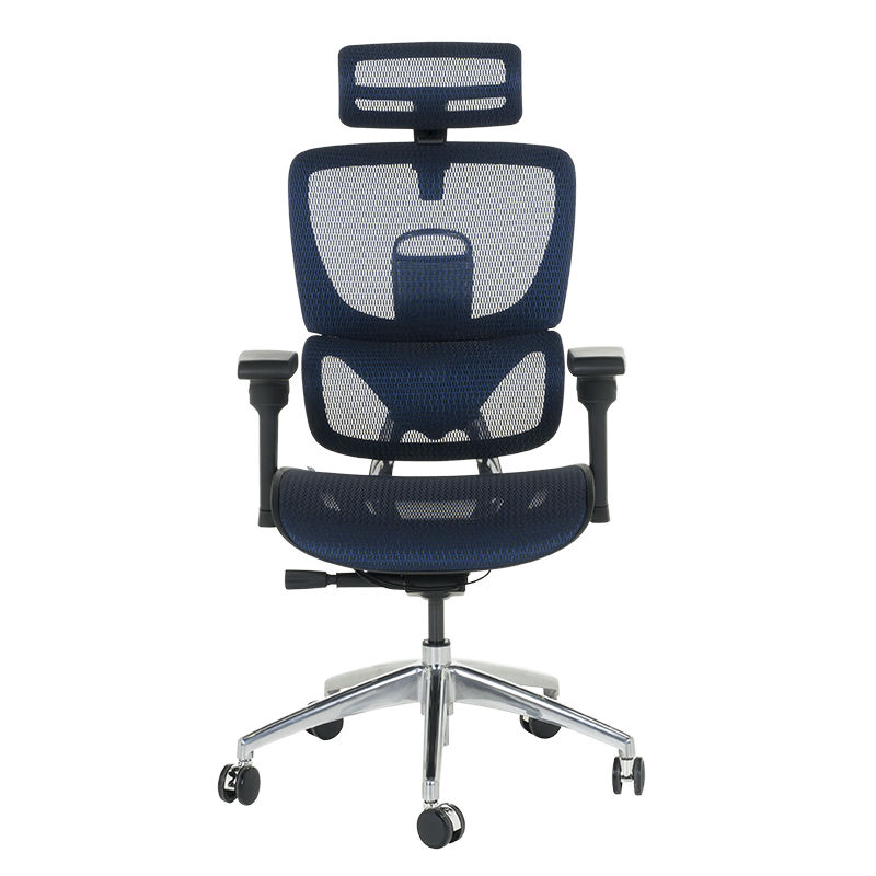 Ergonomic chair CALGARY - blue