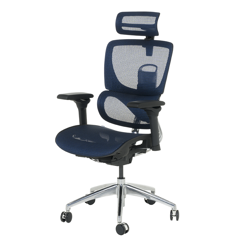 Ergonomic chair CALGARY - blue