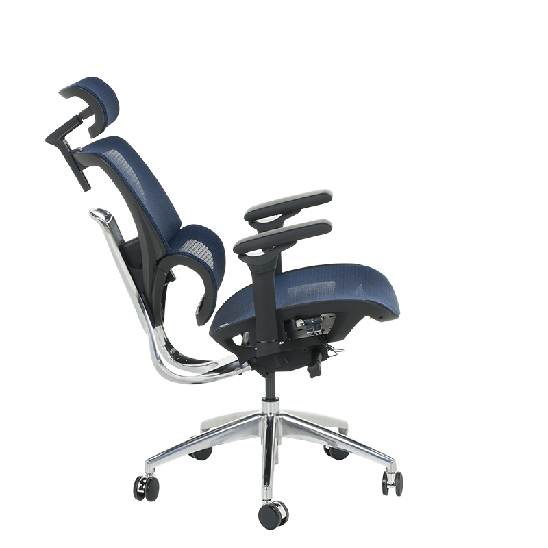 Ergonomic chair CALGARY - blue