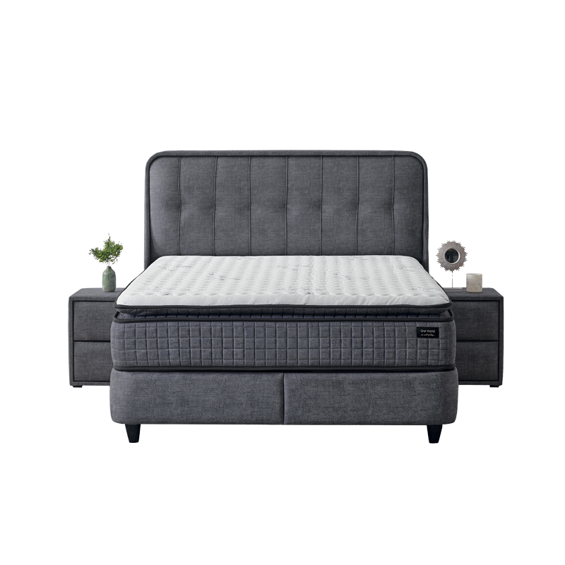 Upholstered bedroom with mattress PICASSO 160 x 200 - graphite 501