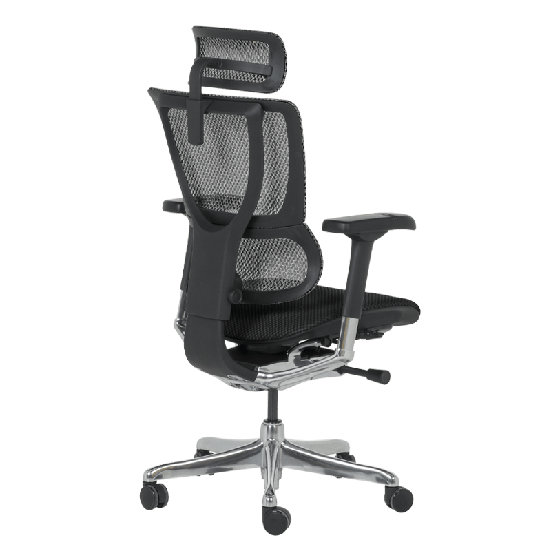 Ergonomic chair ERGOHUMAN IOO ELITE 2 - black frame - black