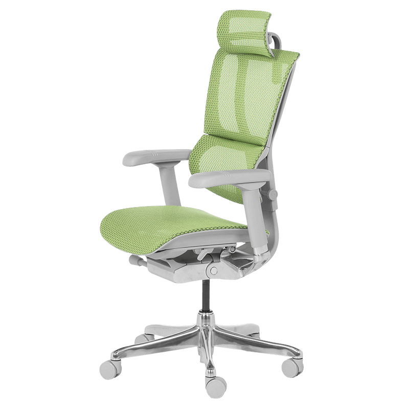 Ергономичен стол ERGOHUMAN IOO ELITE 2 - сива рамка - зелен