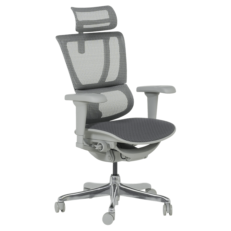 Ergonomic chair ERGOHUMAN IOO ULTRA - gray frame - gray