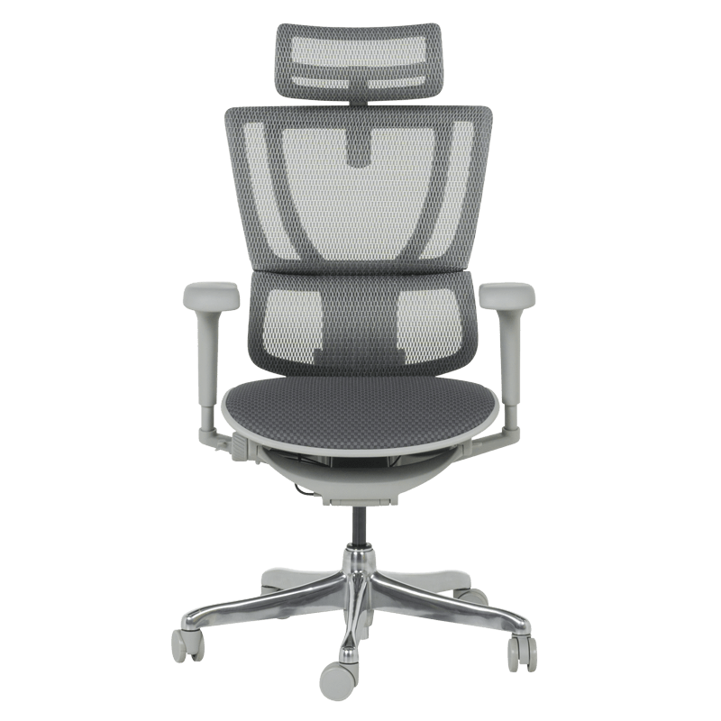 Ergonomic chair ERGOHUMAN IOO ULTRA - gray frame - gray