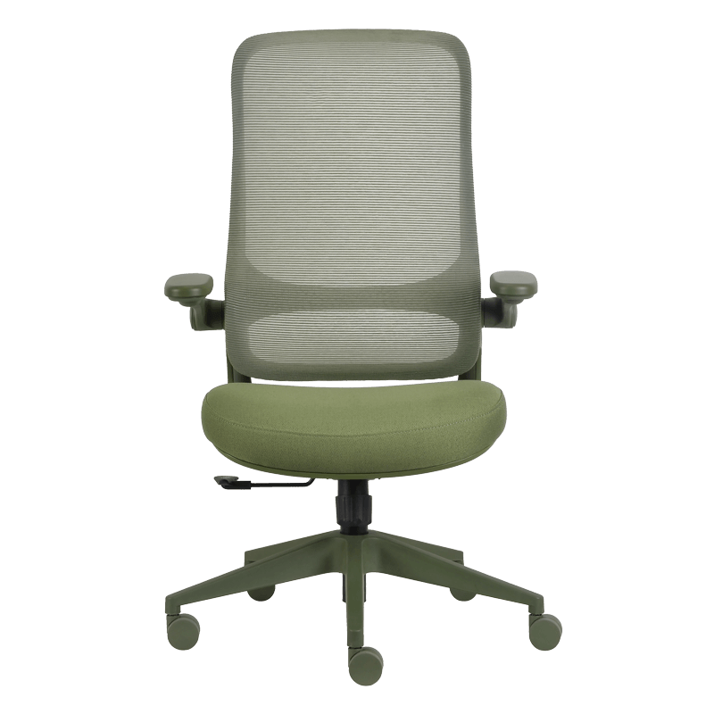 Ergonomic chair BAKU - green