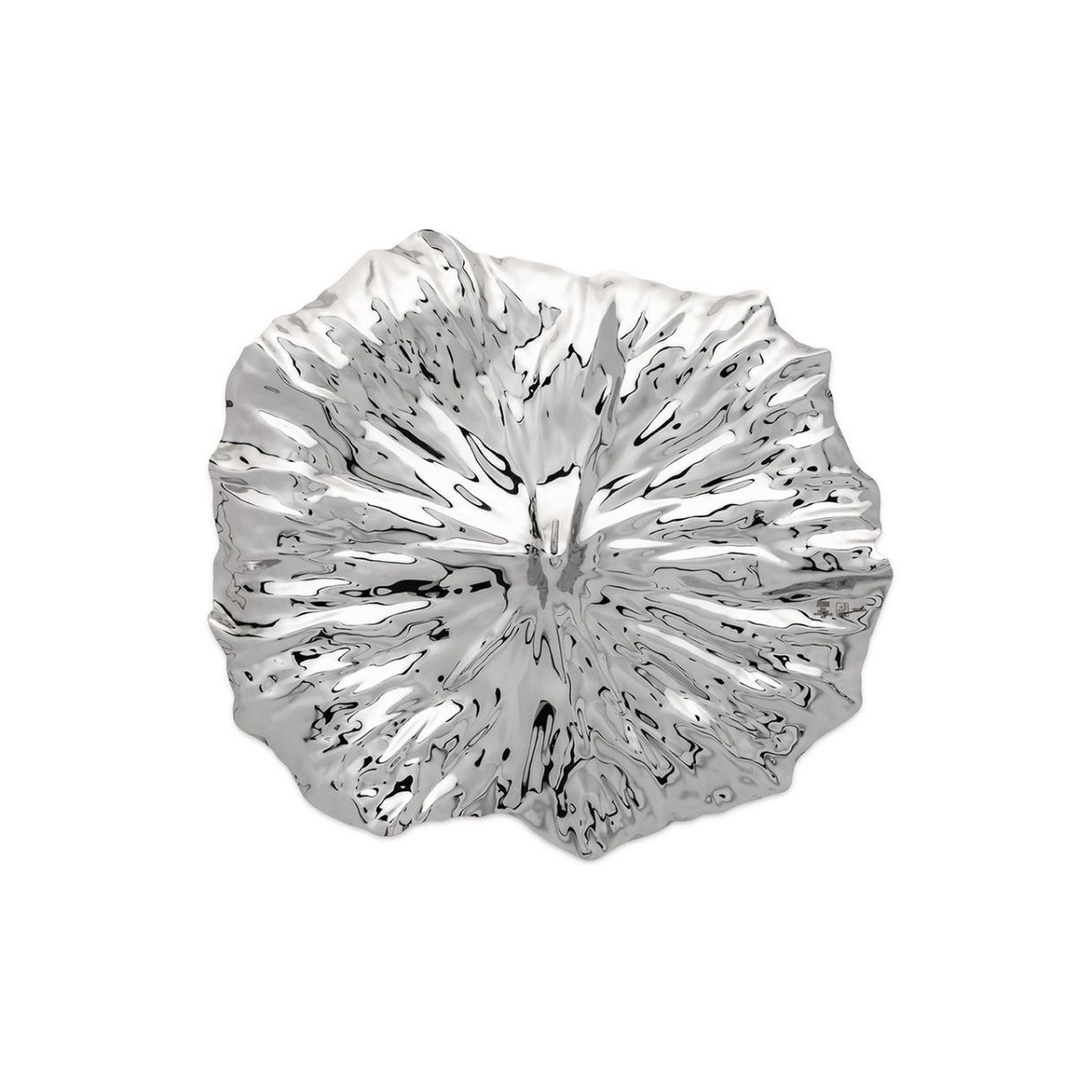 Фруктиера A Lotus leaf Цвят стомана