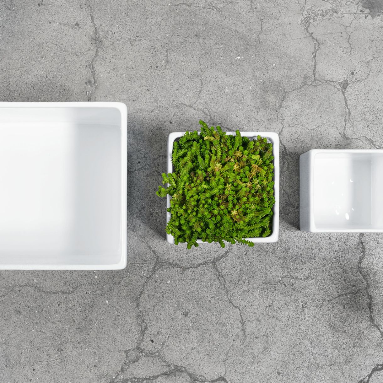 Саксия Quadro 23см 23см Цвят бяло