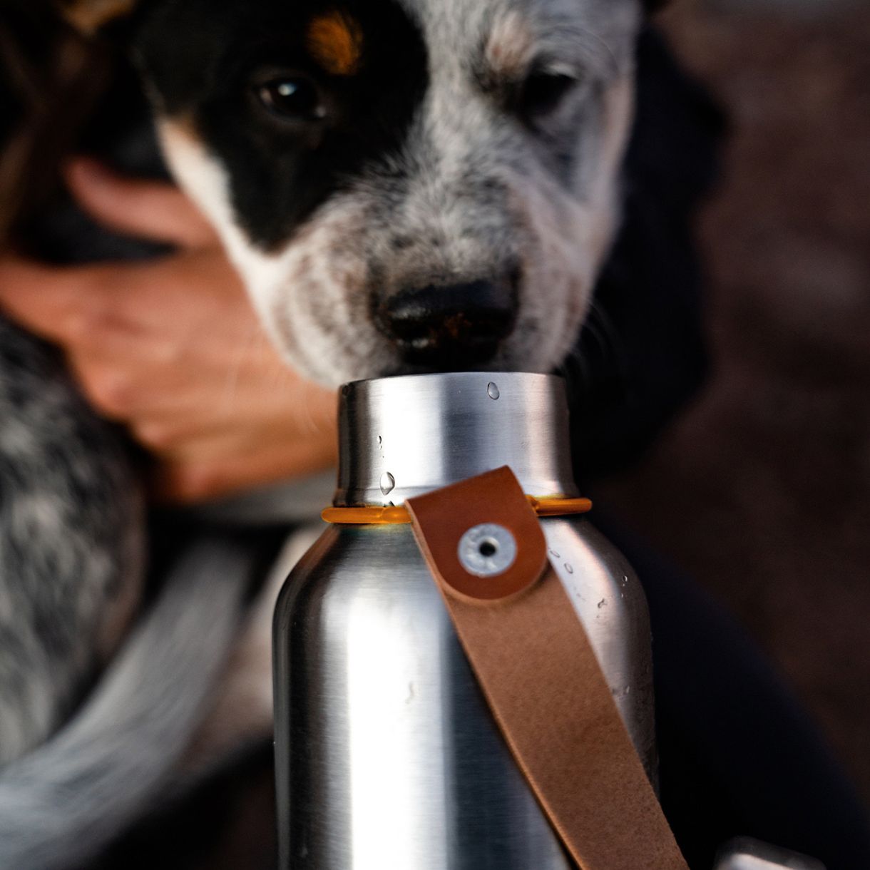 Χαλύβδινη φιάλη 0,750l Χρώμα πορτοκαλί