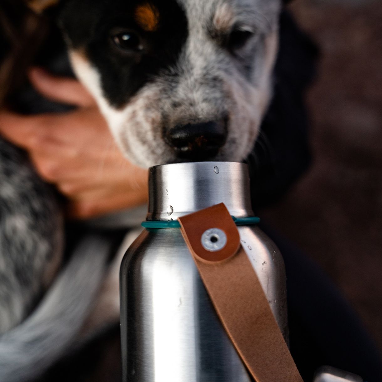 Steel bottle 0.750l Ocean color