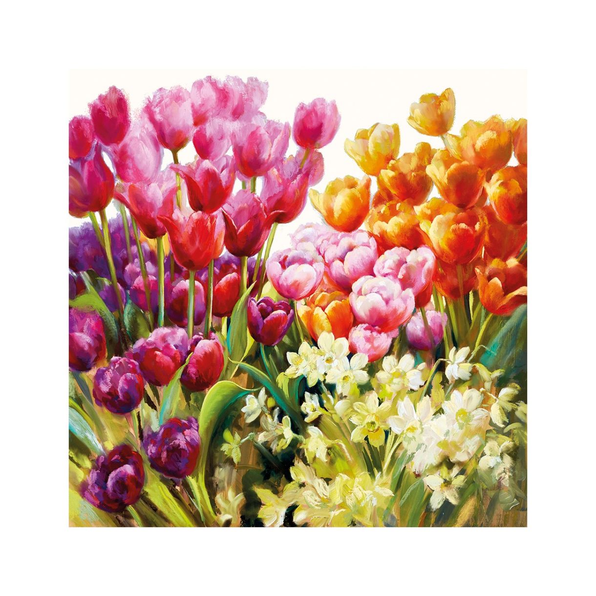 Napkin 25cm 25cm 20pcs Tulips