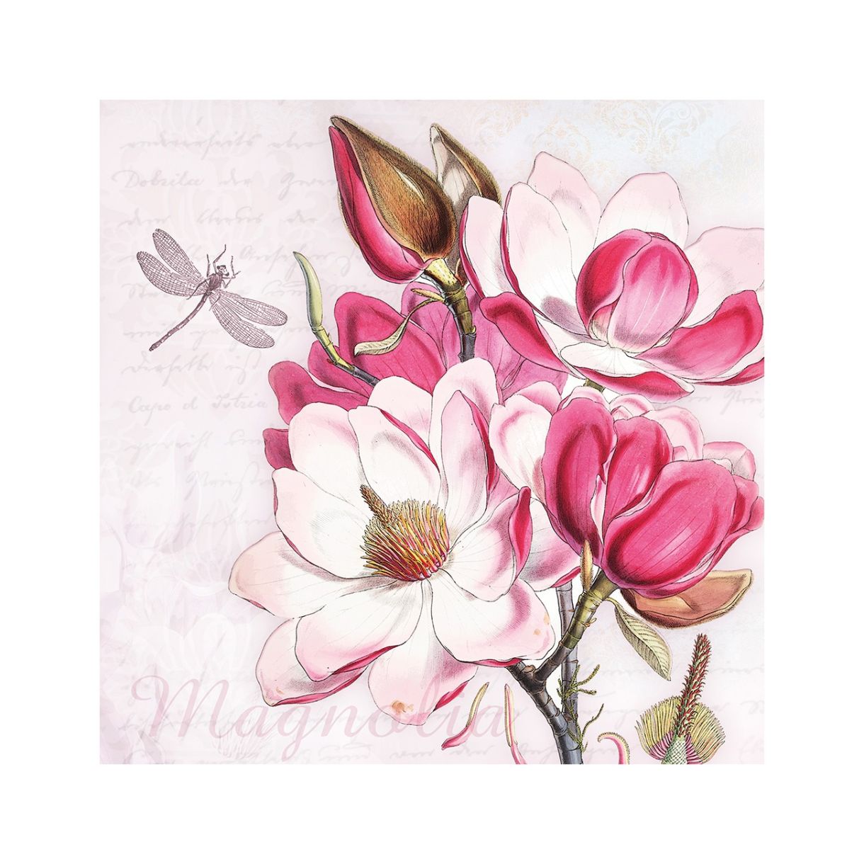 Napkin 25cm 25cm 20pcs Magdalena