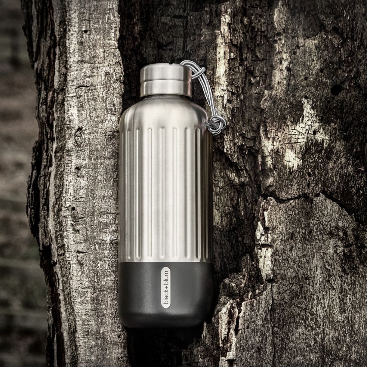 Μπουκάλι Explorer 0,850l Χρώμα μαύρο