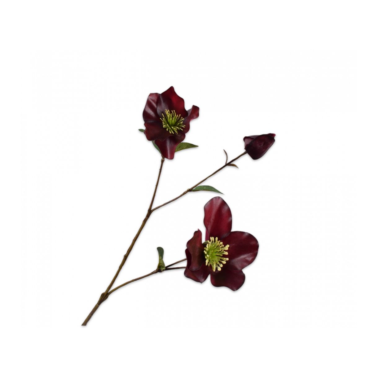 Καλλωπιστικό φυτό χριστουγεννιάτικο τριαντάφυλλο 65cm Χρώμα σκούρο κόκκινο