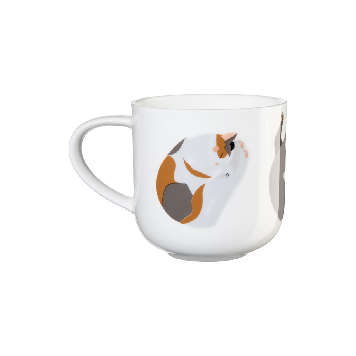 Κύπελλο Coppa για σκύλους και γάτες 0.400ml με μοτίβο Siesta