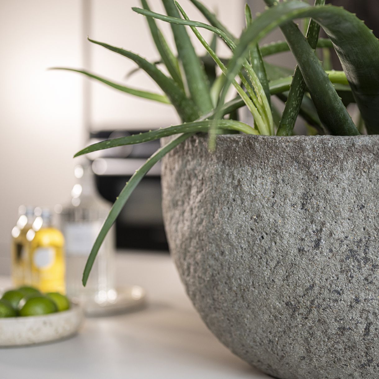 Саксия Mt. Hunter XS Pottery pot